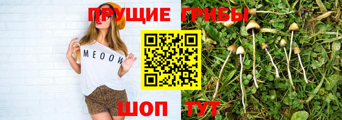 Псилоцибиновые грибы мухоморы  Вход с VPN  Магадан 