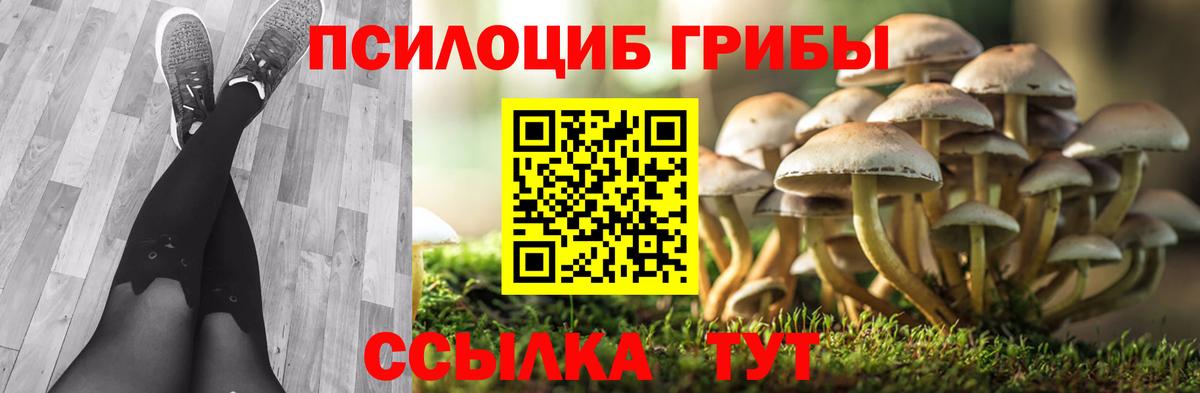 Псилоцибиновые грибы Magic Shrooms Магадан