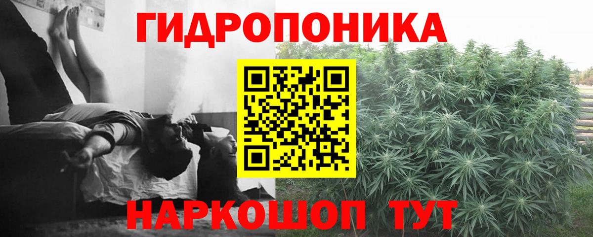 Бошки марихуана SATIVA & INDICA Магадан